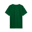 CAMISA DO PALMEIRAS 25/26 VERDE